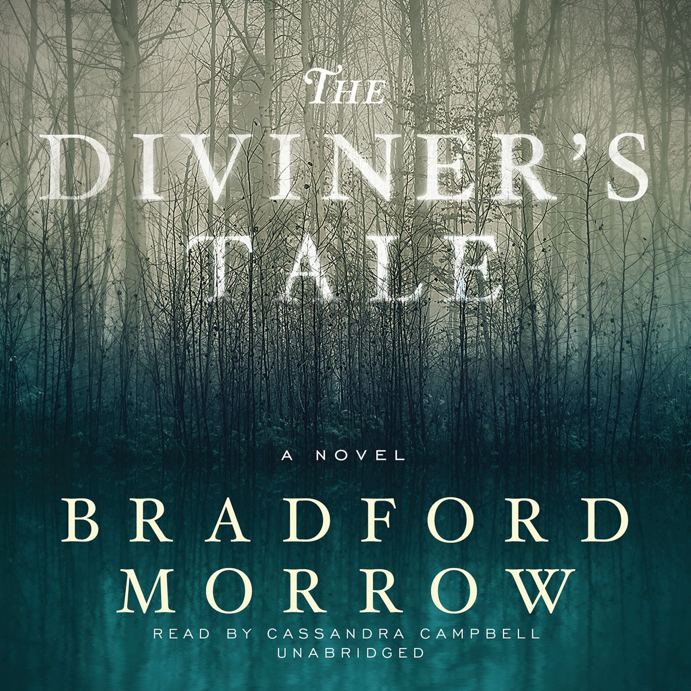 The Diviner's Tale