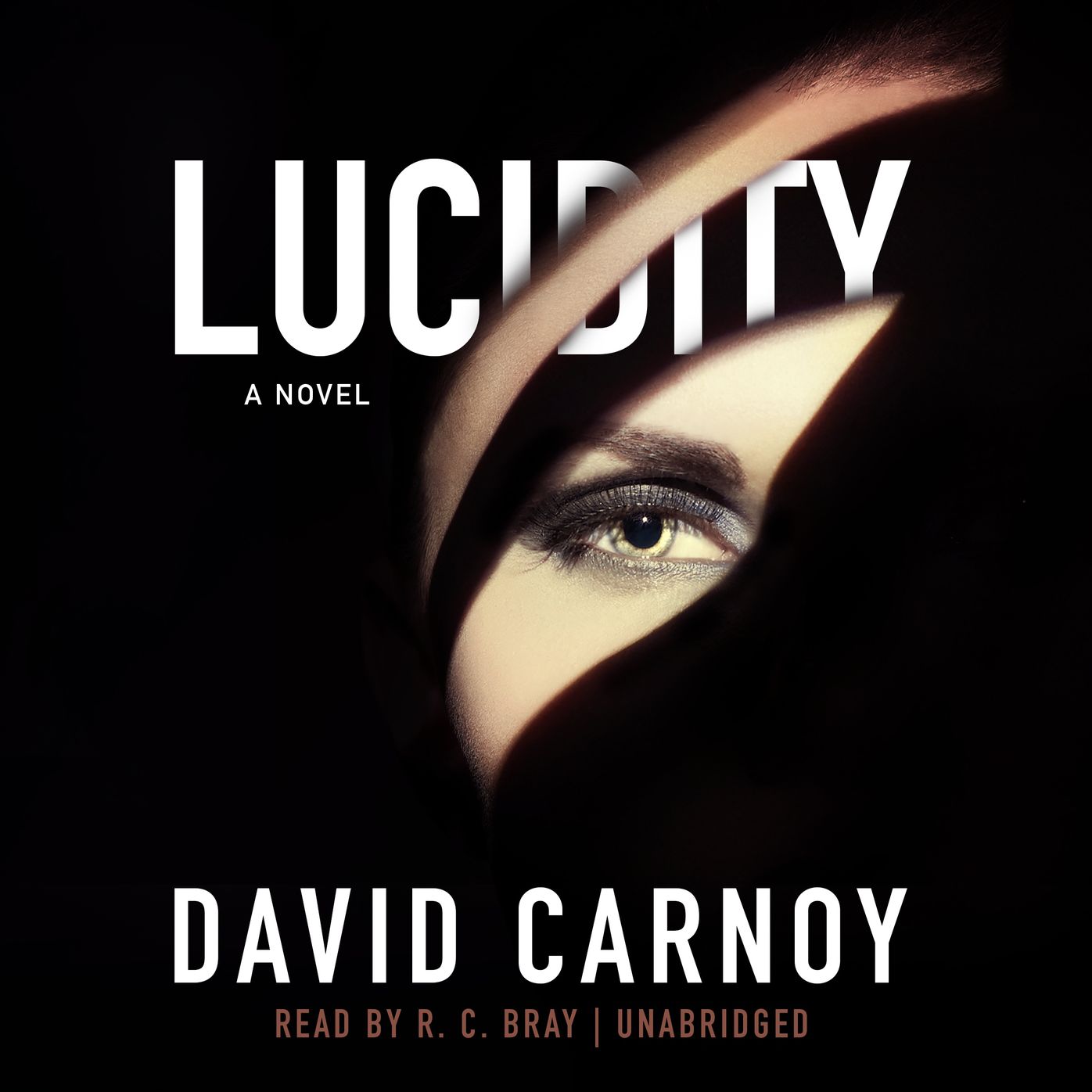 Lucidity: A Thriller