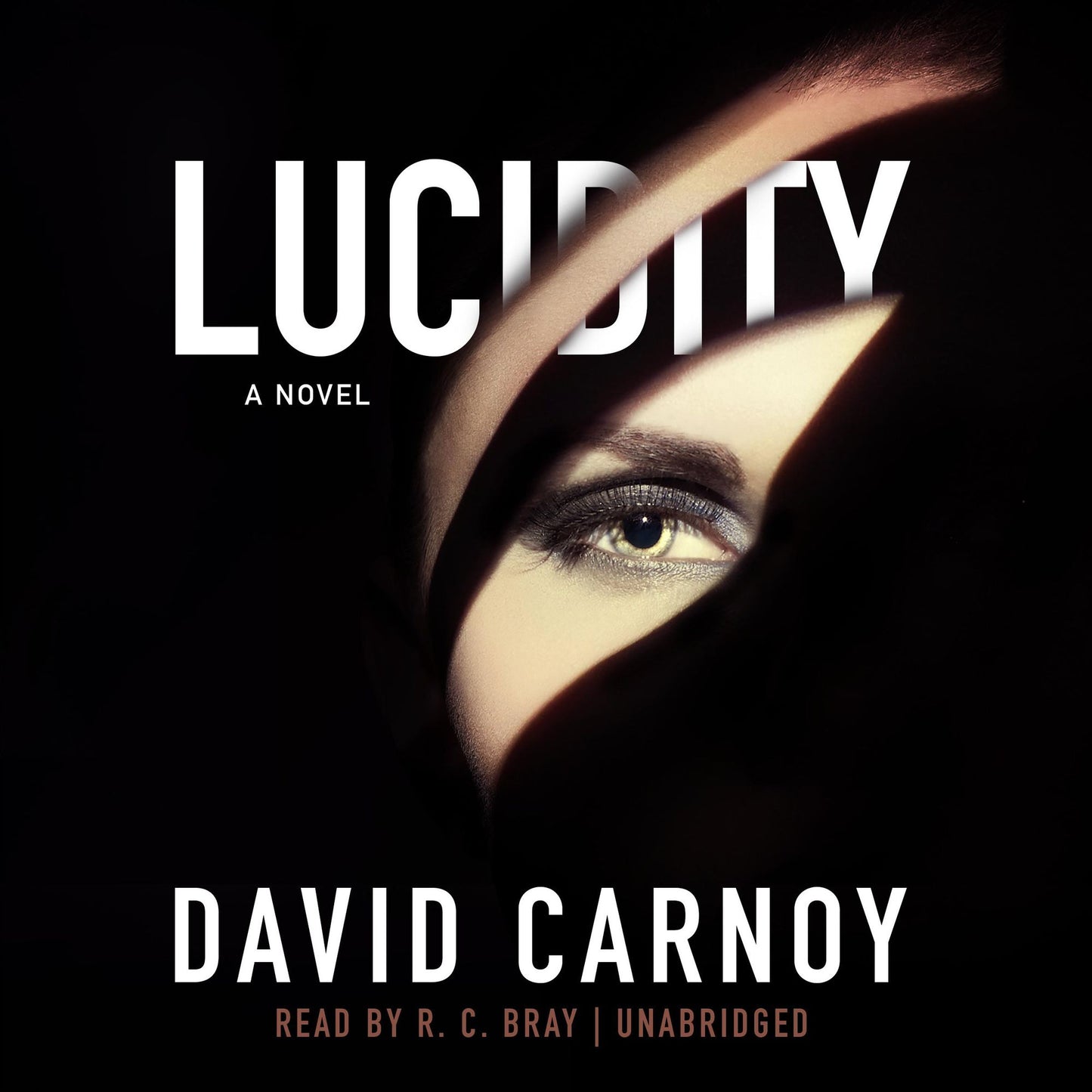 Lucidity: A Thriller