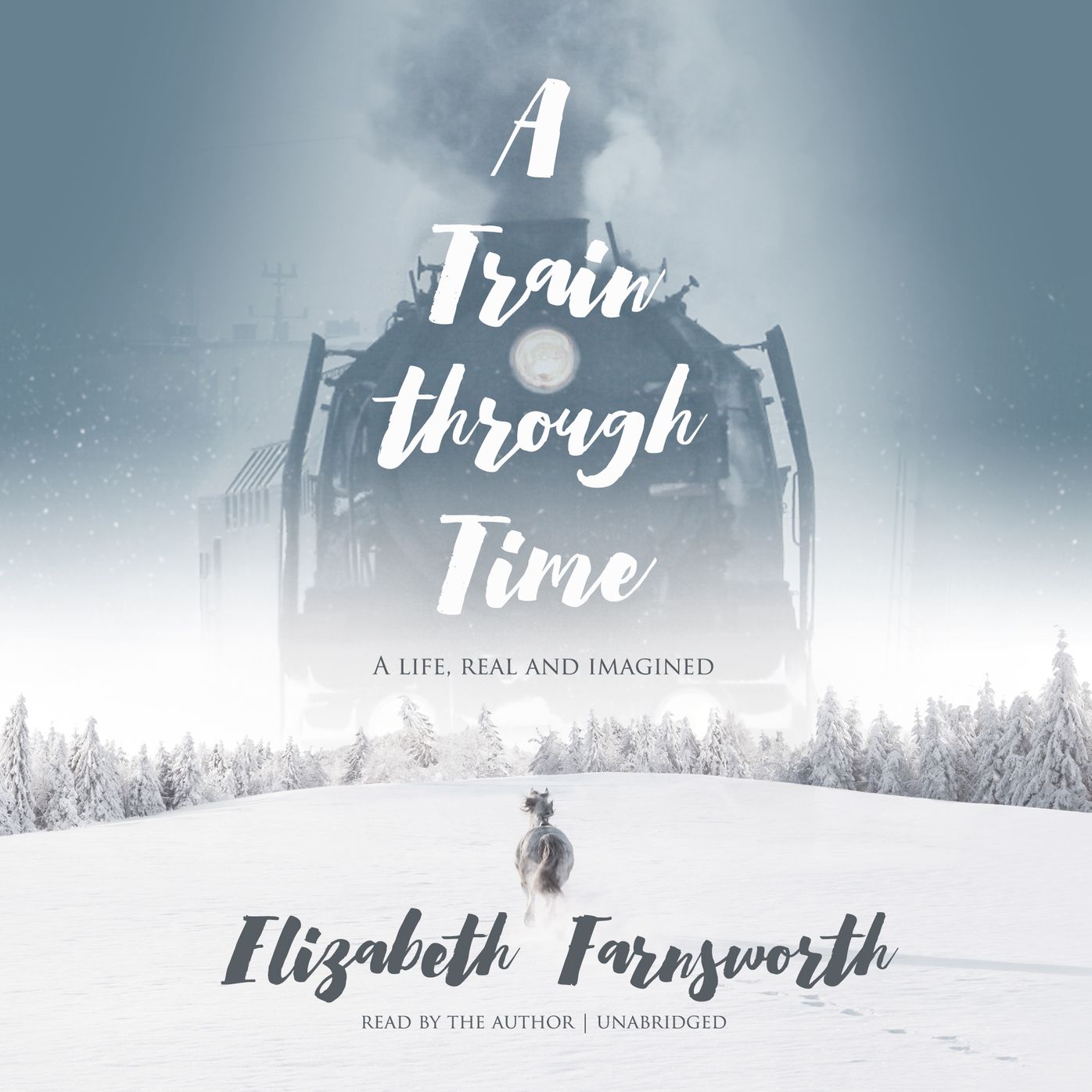 A Train through Time: A Life, Real and Imagined