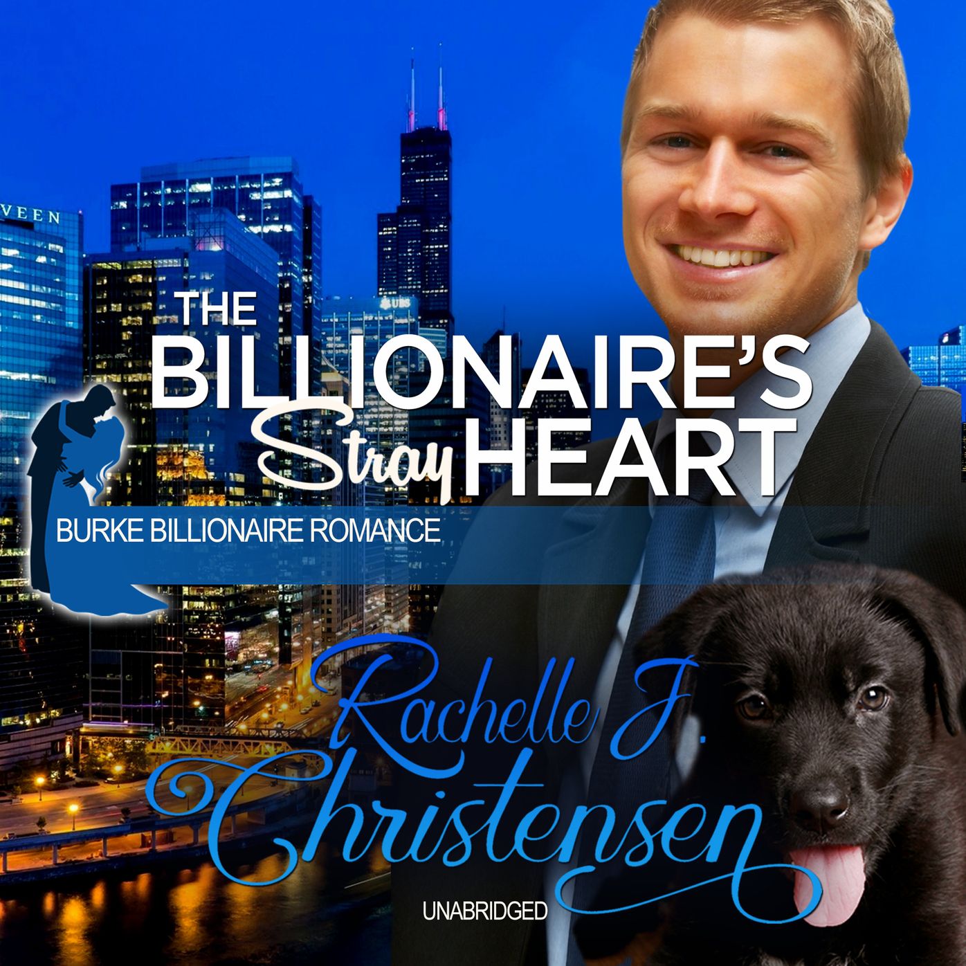 The Billionaire's Stray Heart: Burke Billionaire Romance, Book 2