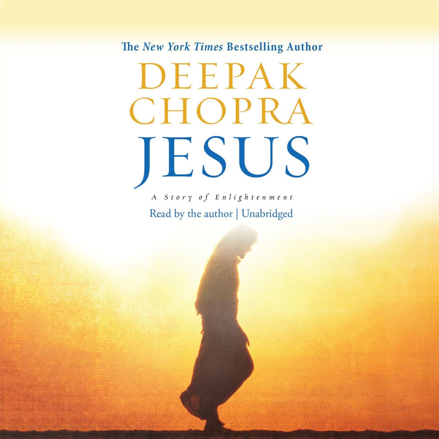 Jesus: A Story of Enlightenment