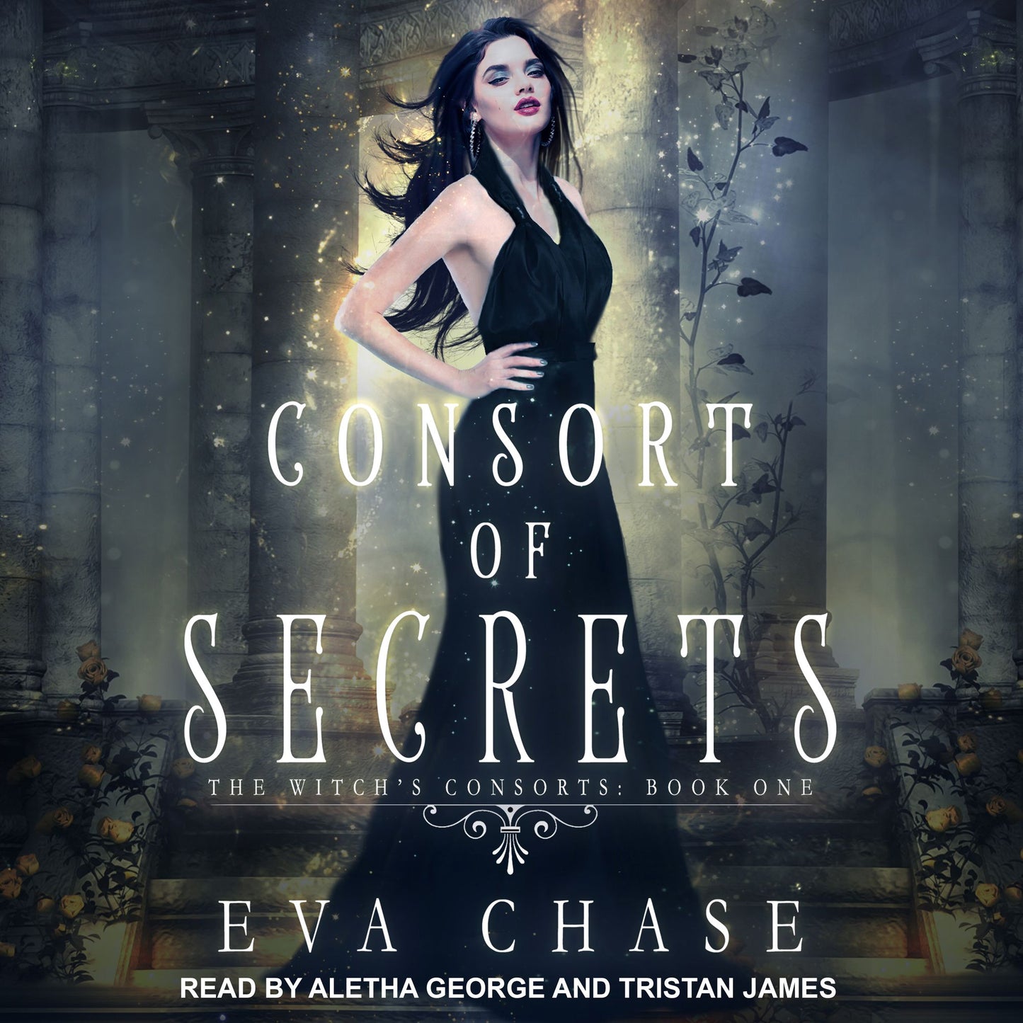Consort of Secrets: The Witch's Consorts, Book 1