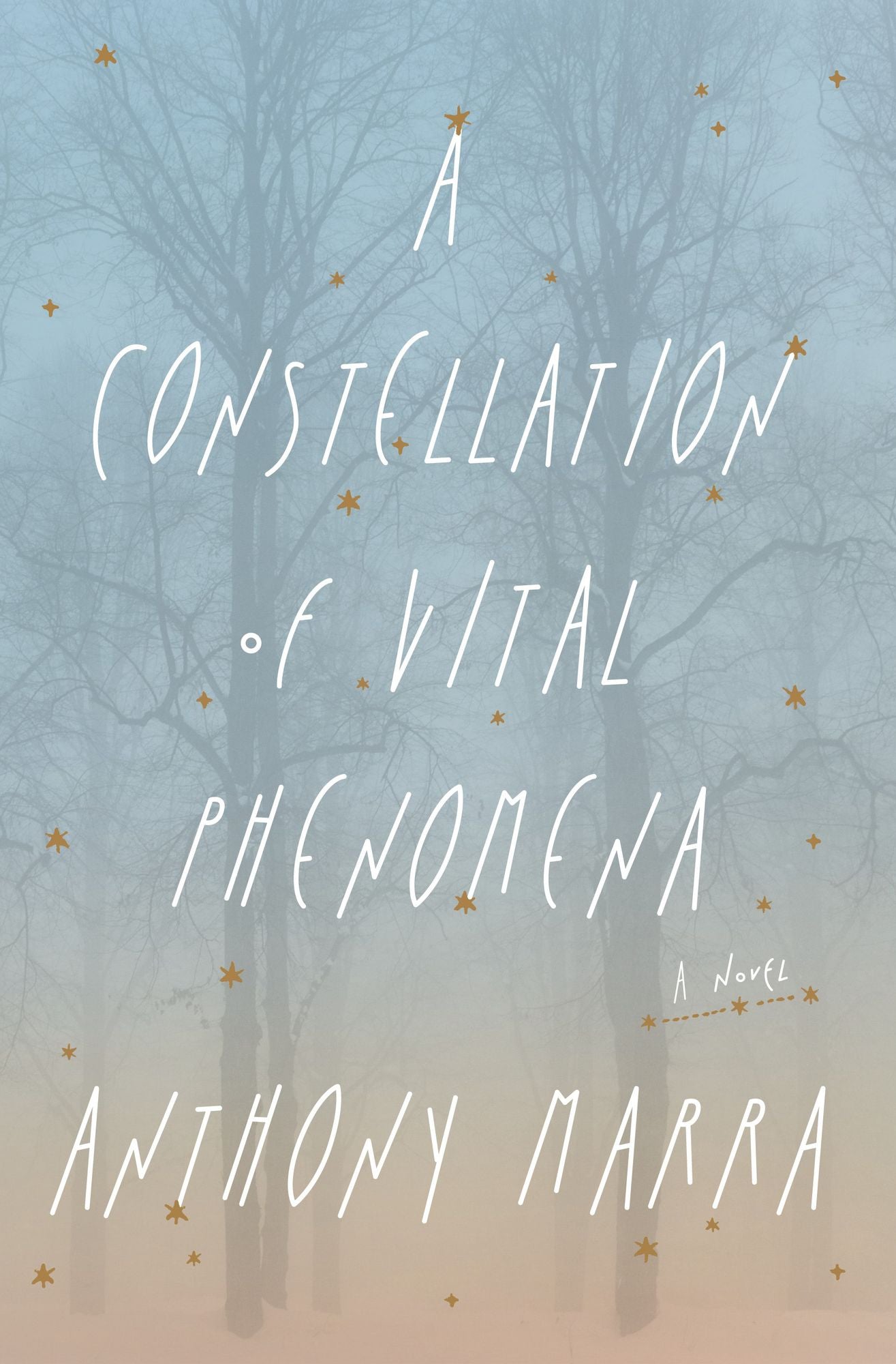 A Constellation of Vital Phenomena: A Novel