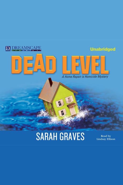 Dead Level: A Home Repair is Homicide Mystery