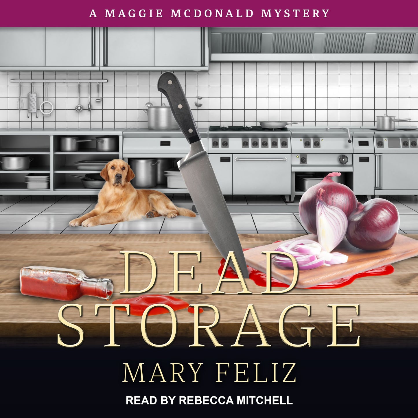 Dead Storage: A Maggie McDonald Mystery