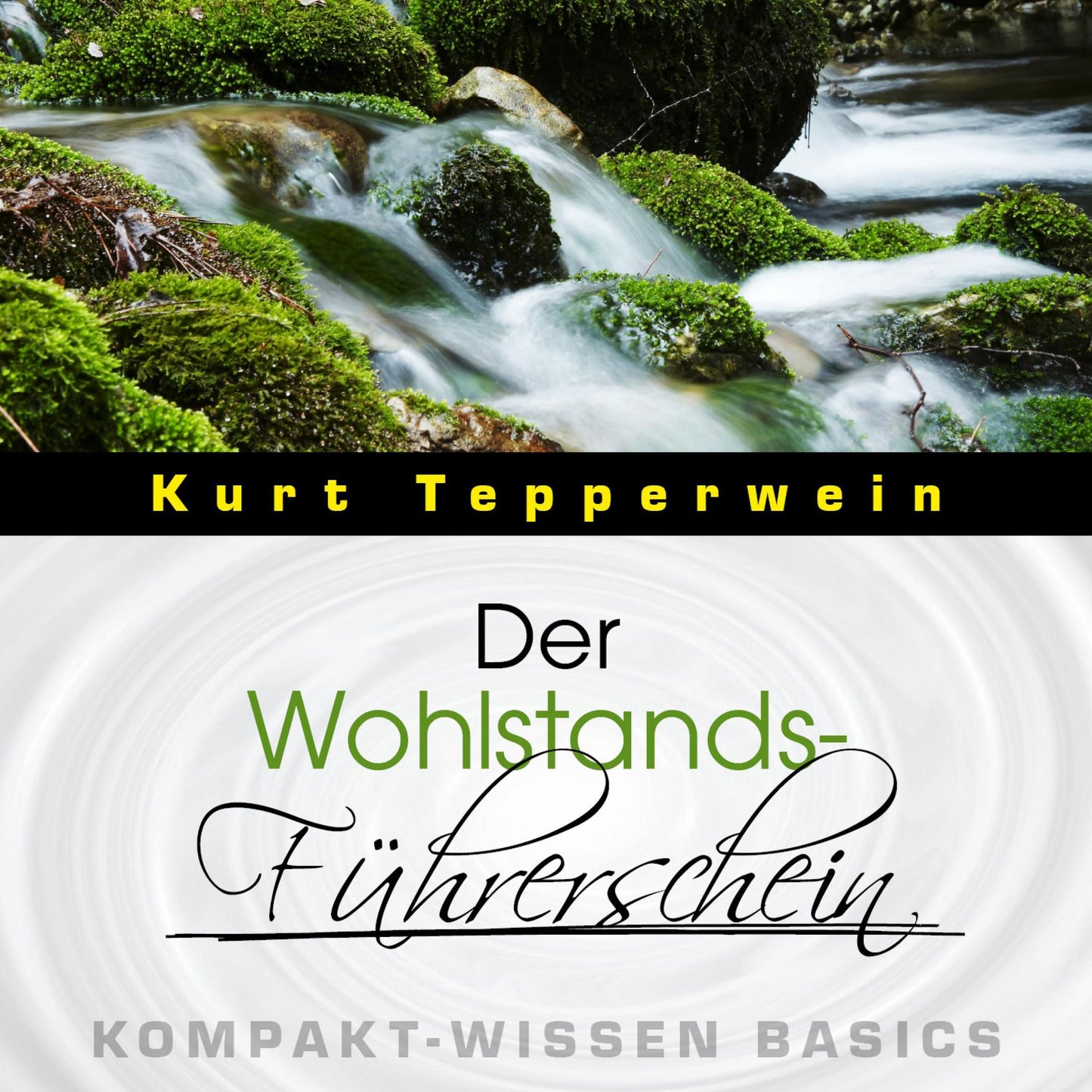 Der Wohlstands-Führerschein - Kompakt-Wissen Basics