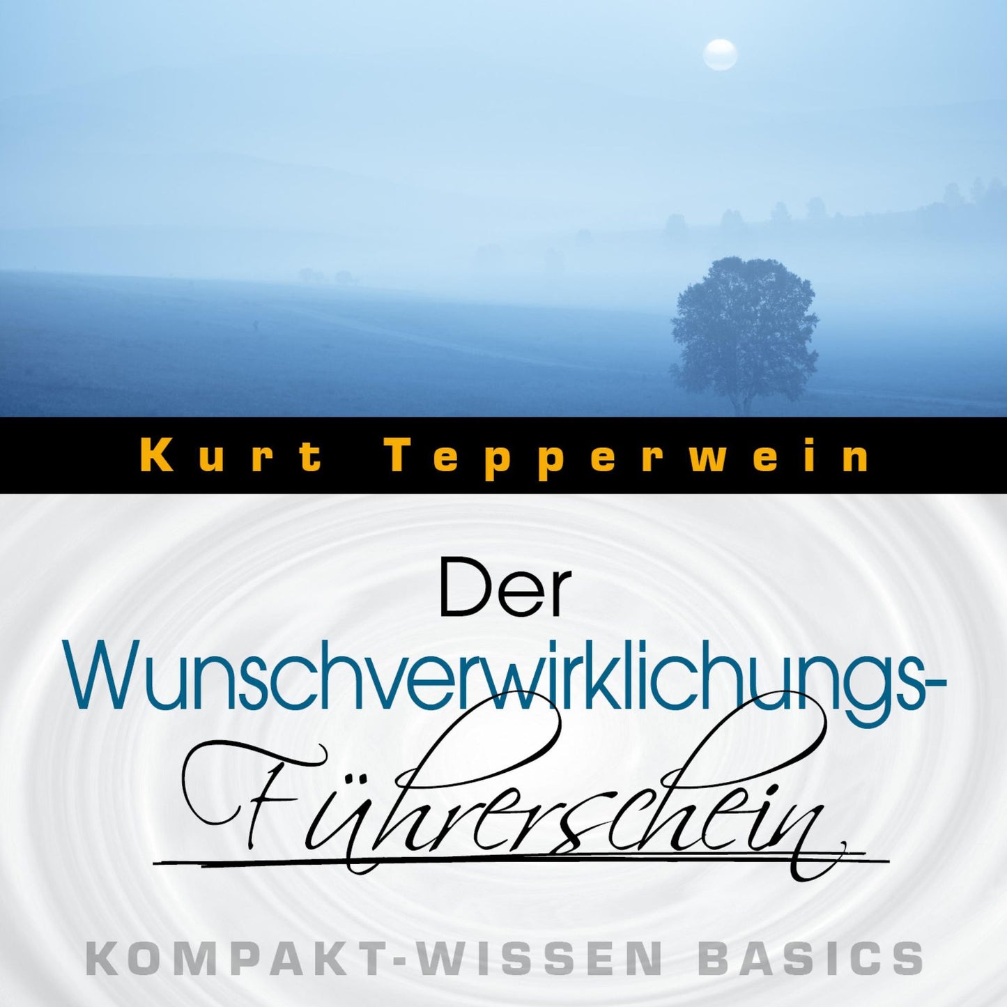 Der Wunschverwirklichungs-Führerschein - Kompakt-Wissen Basics
