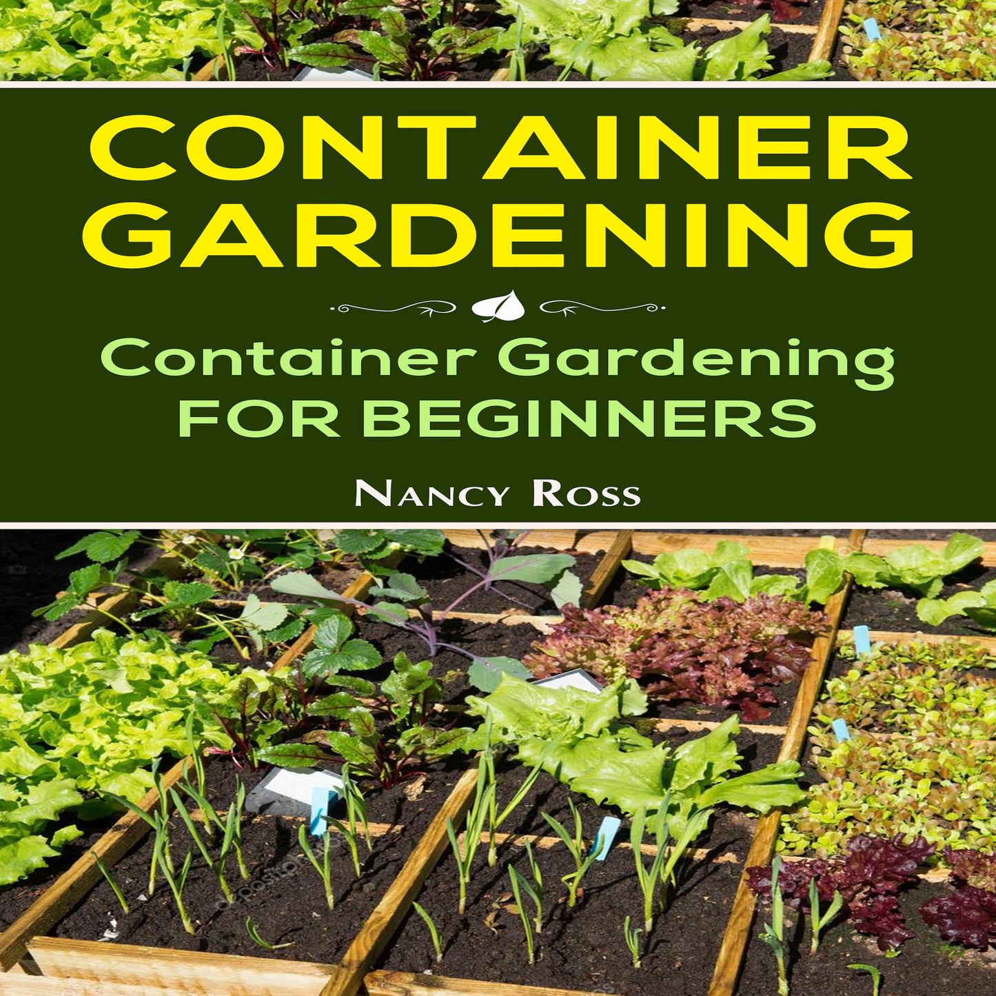 Container Gardening: Container Gardening for Beginners