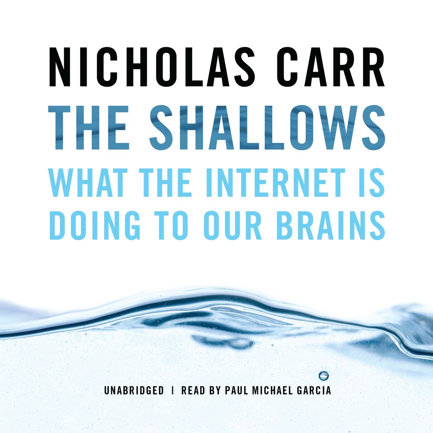 The Shallows: What the Internet Is Doing to Our Brains