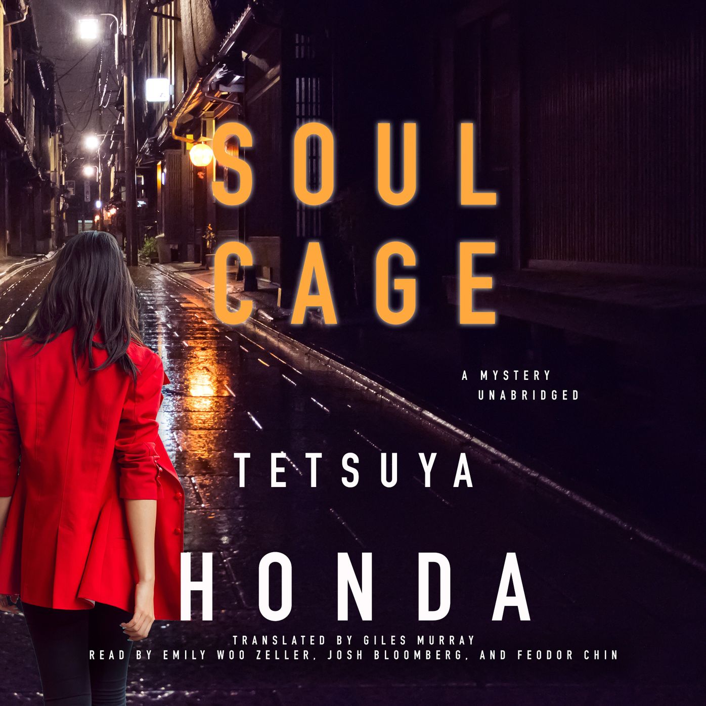 Soul Cage: A Mystery