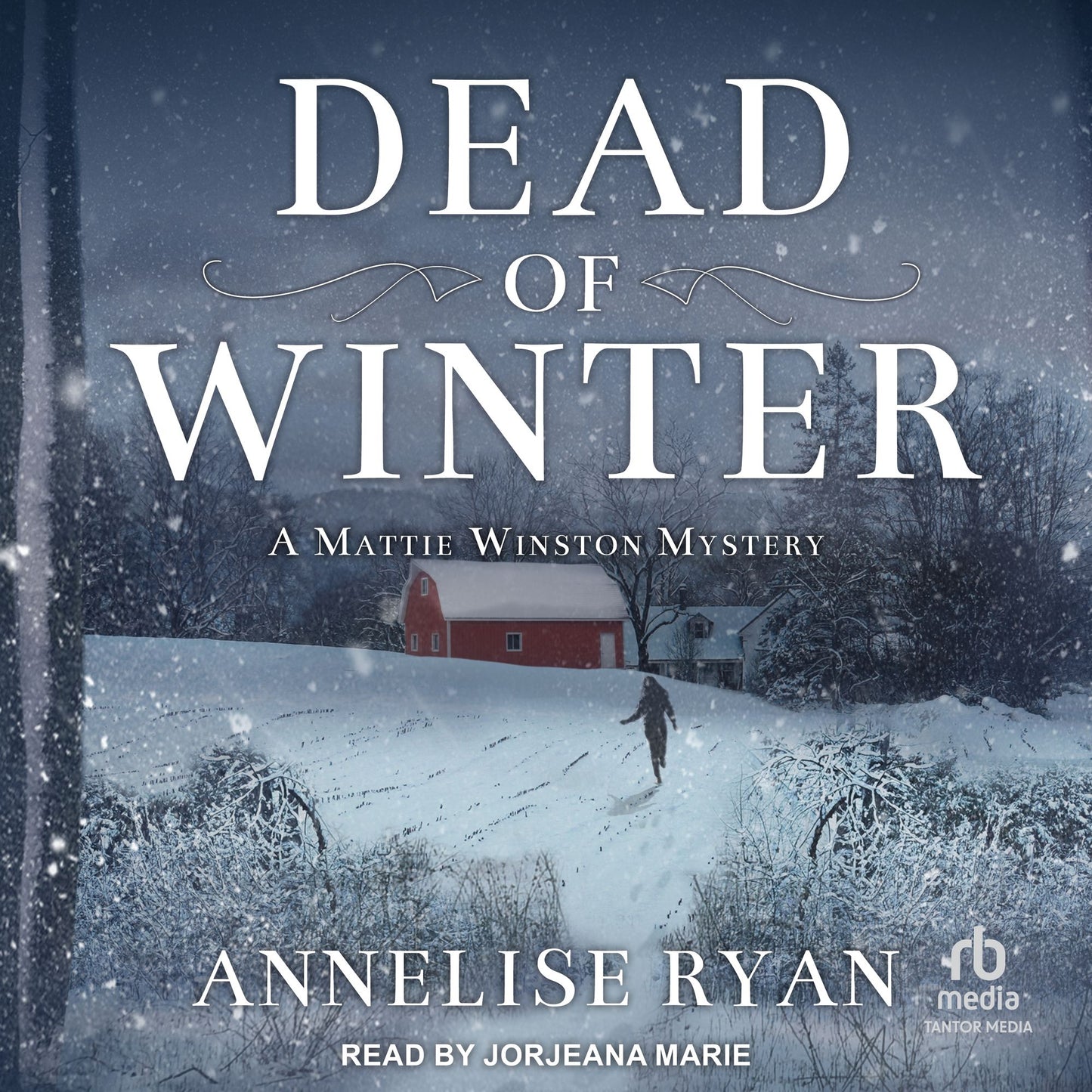Dead of Winter: A Mattie Winston Mystery