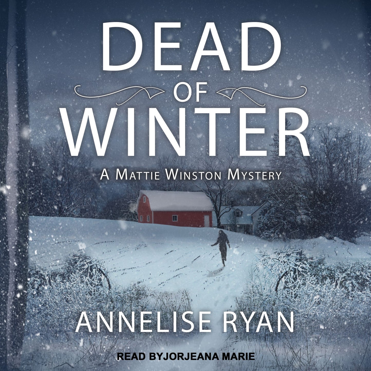 Dead of Winter: A Mattie Winston Mystery