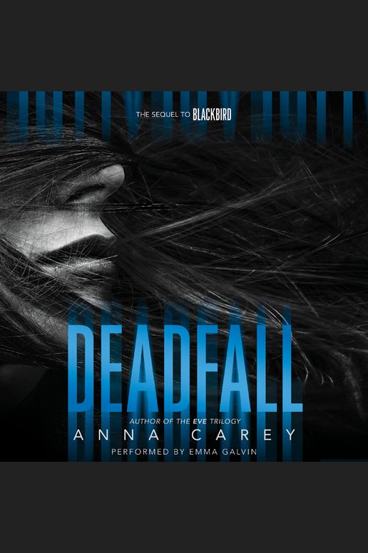 Deadfall: The Sequel to Blackbird