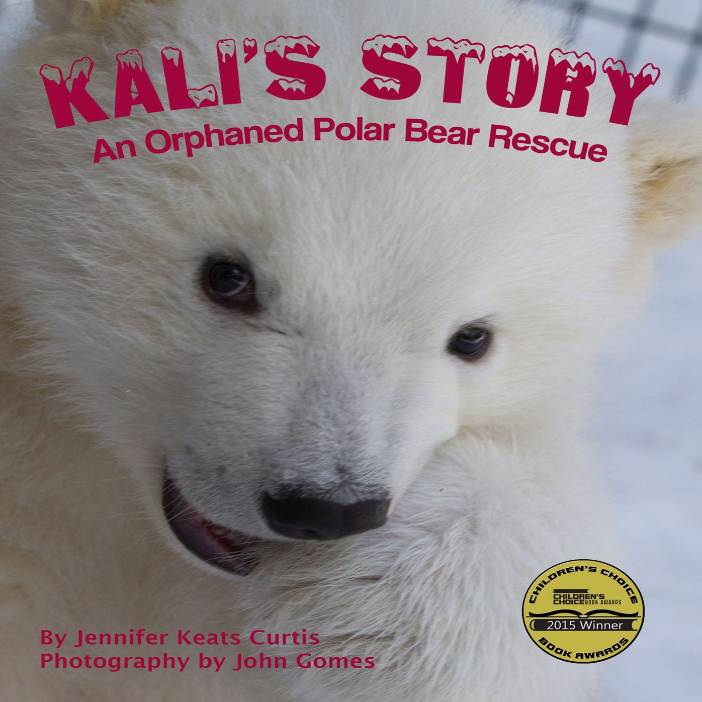 Kali's Story: An Orphaned Polar Bear Rescue