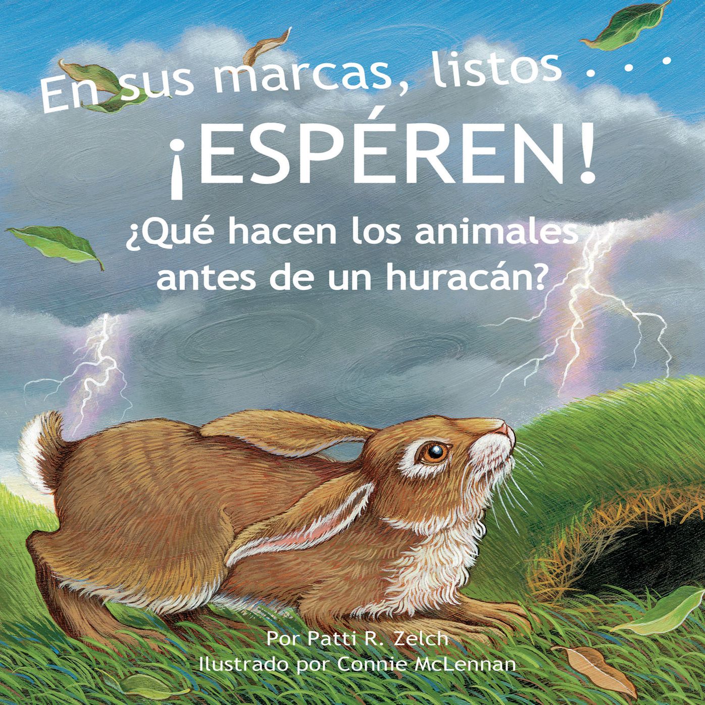 En sus marcas, listos¿ ¡ESPÉREN!: ¿Qué hacen los animales antes de un huracán?
