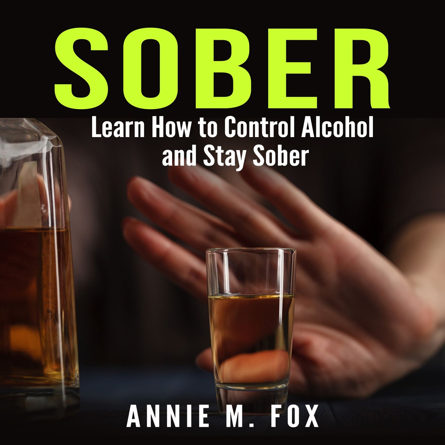 Sober: Learn How to Control Alcohol and Stay Sober
