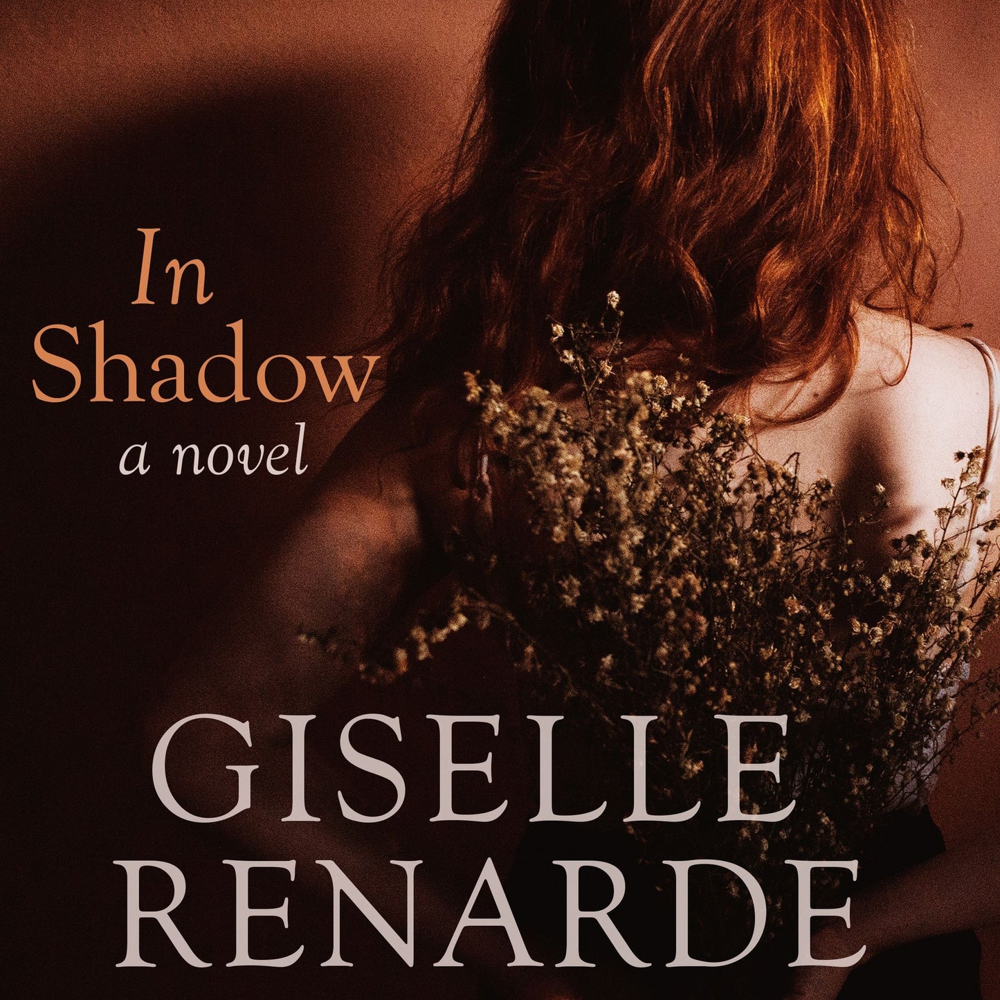 In Shadow: a novel