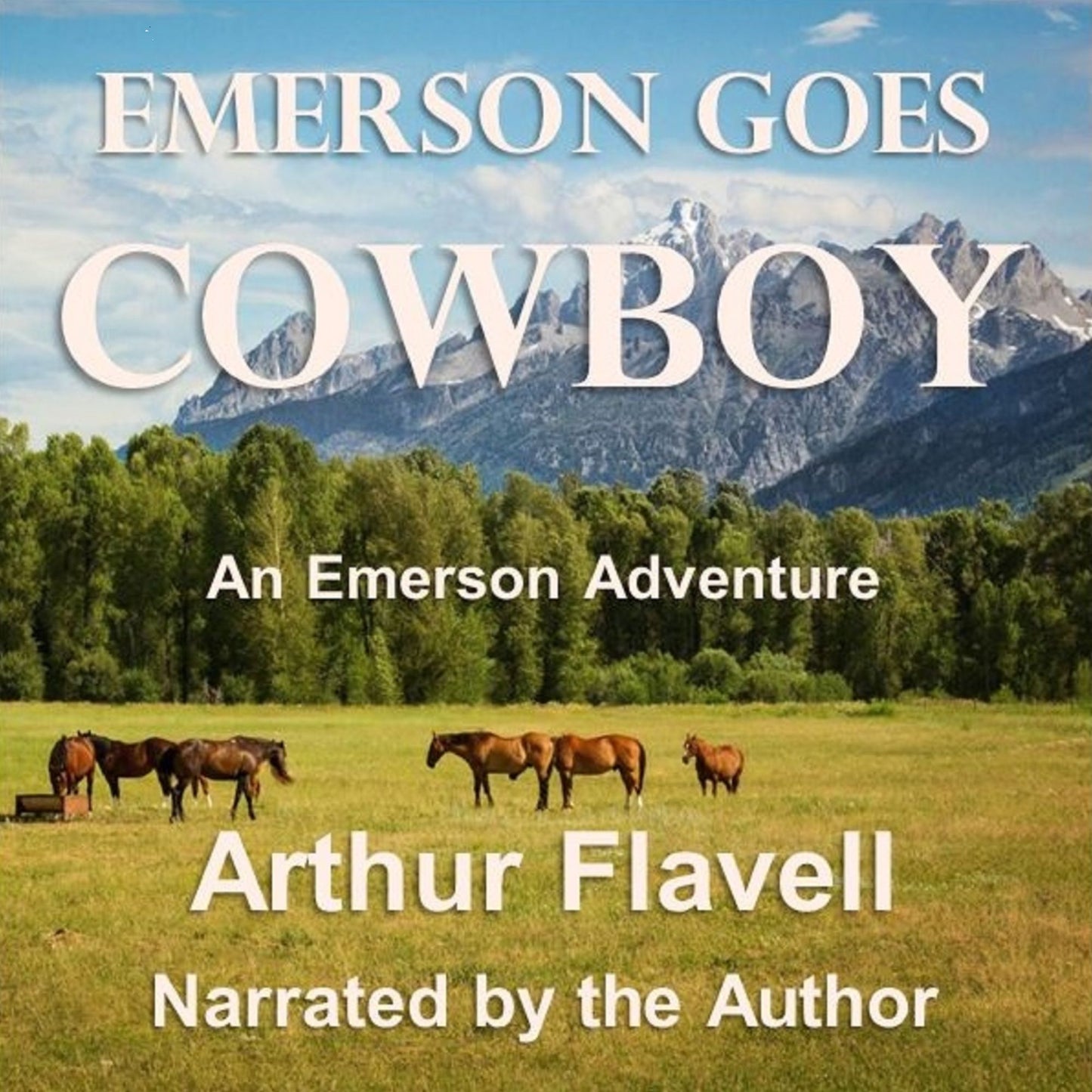 Emerson Goes Cowboy