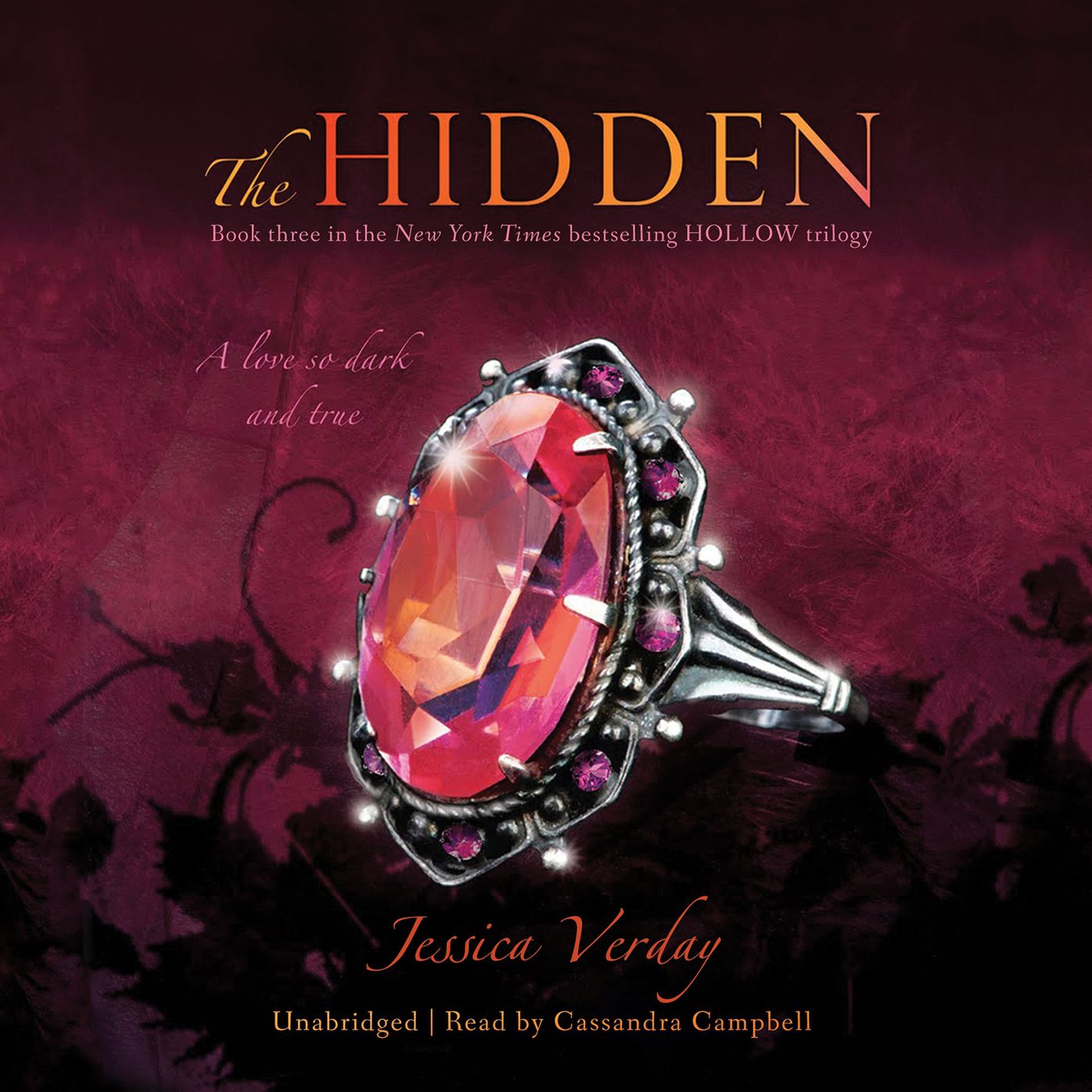 The Hidden: A Love so Dark and True