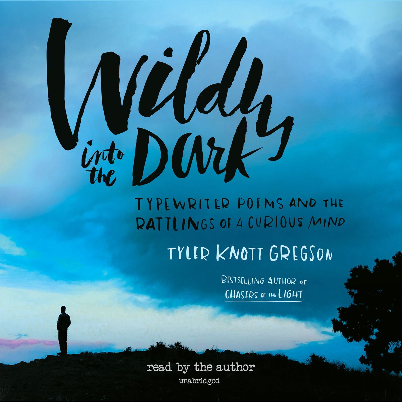 Wildly into the Dark: Typewriter Poems and the Rattlings of a Curious Mind