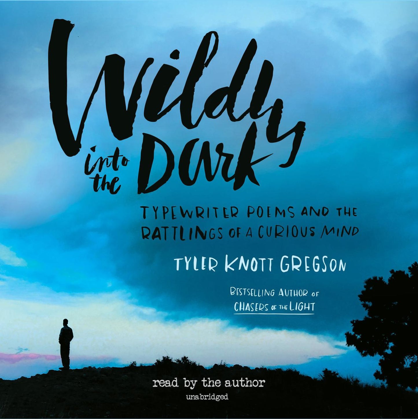 Wildly into the Dark: Typewriter Poems and the Rattlings of a Curious Mind