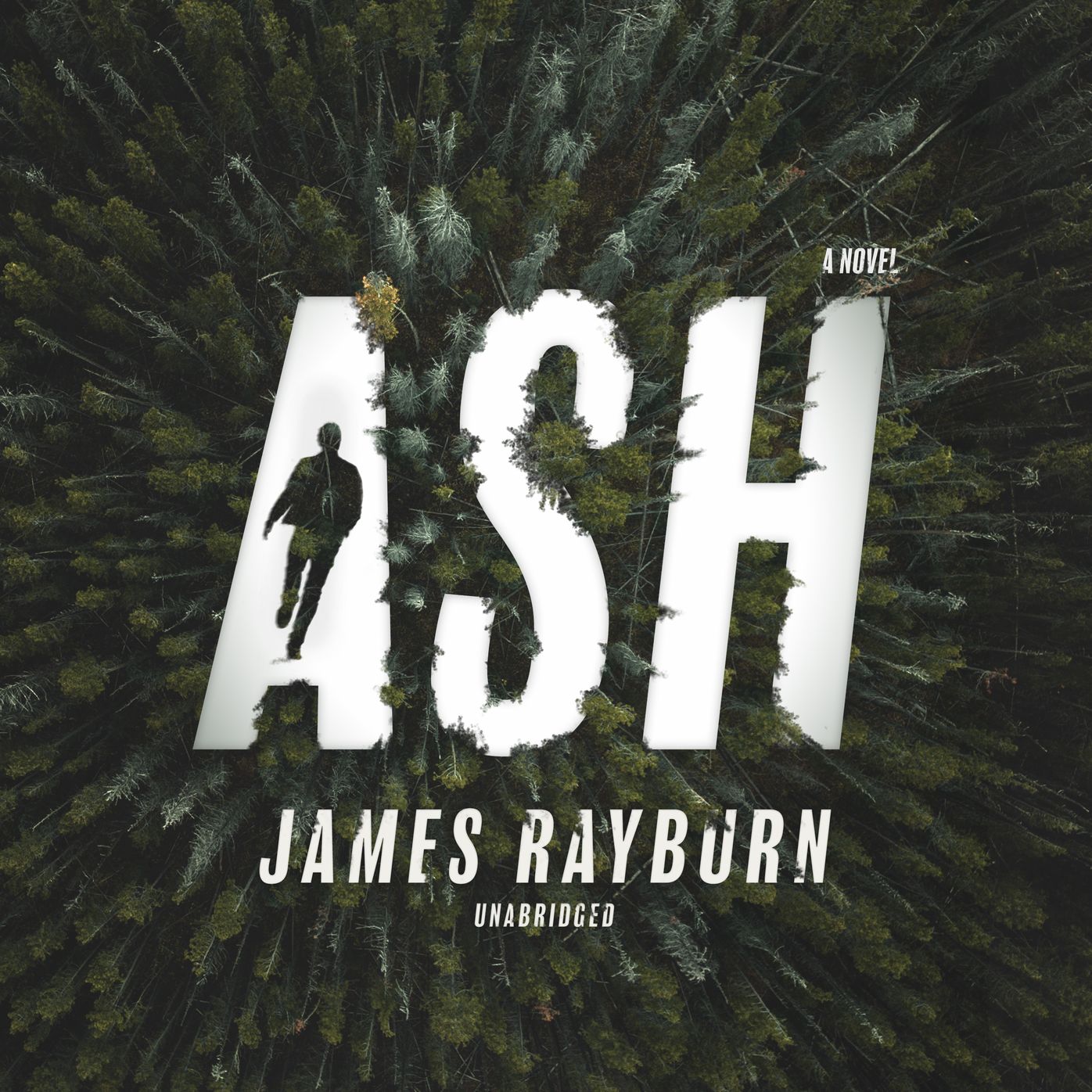 Ash : A Novel
