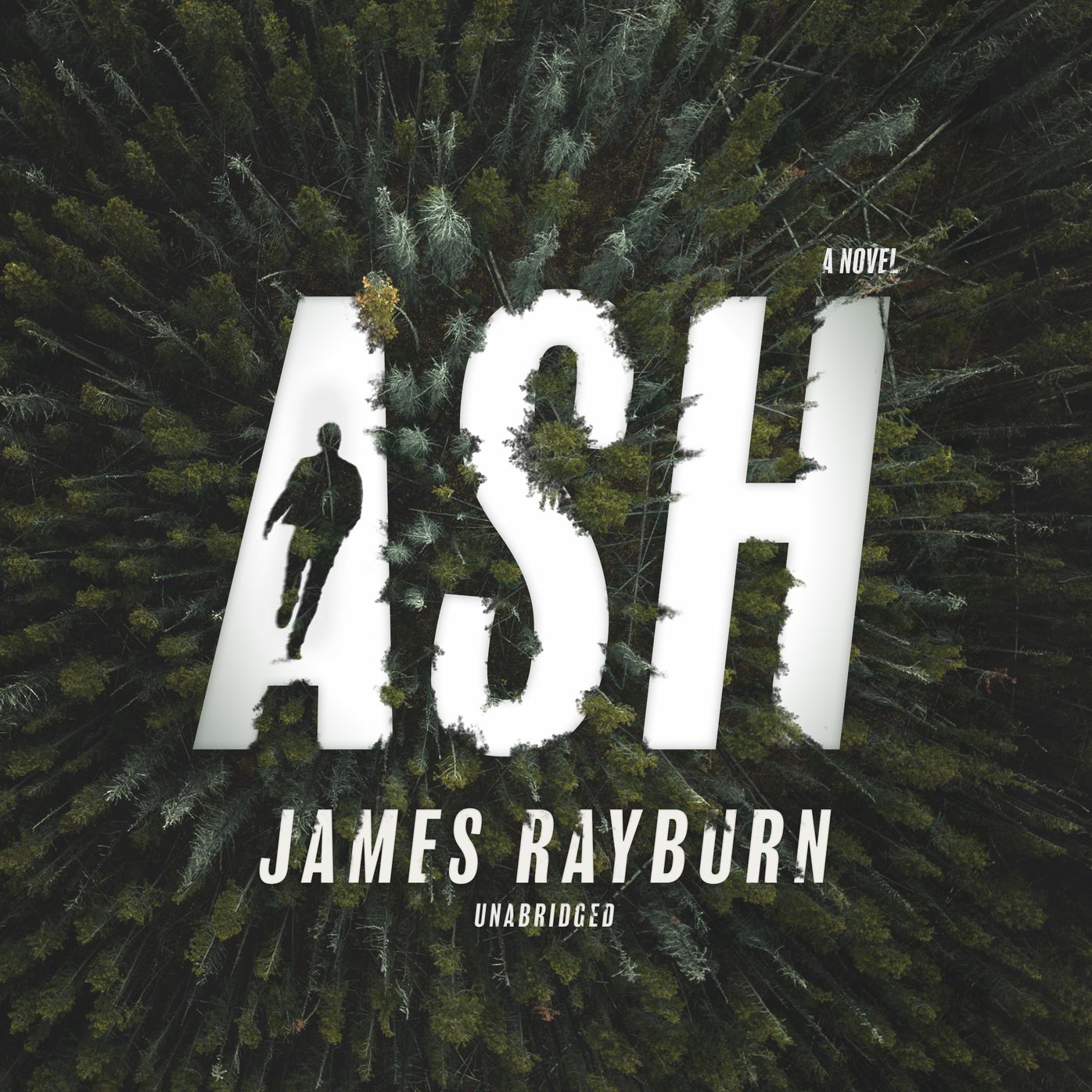 Ash : A Novel