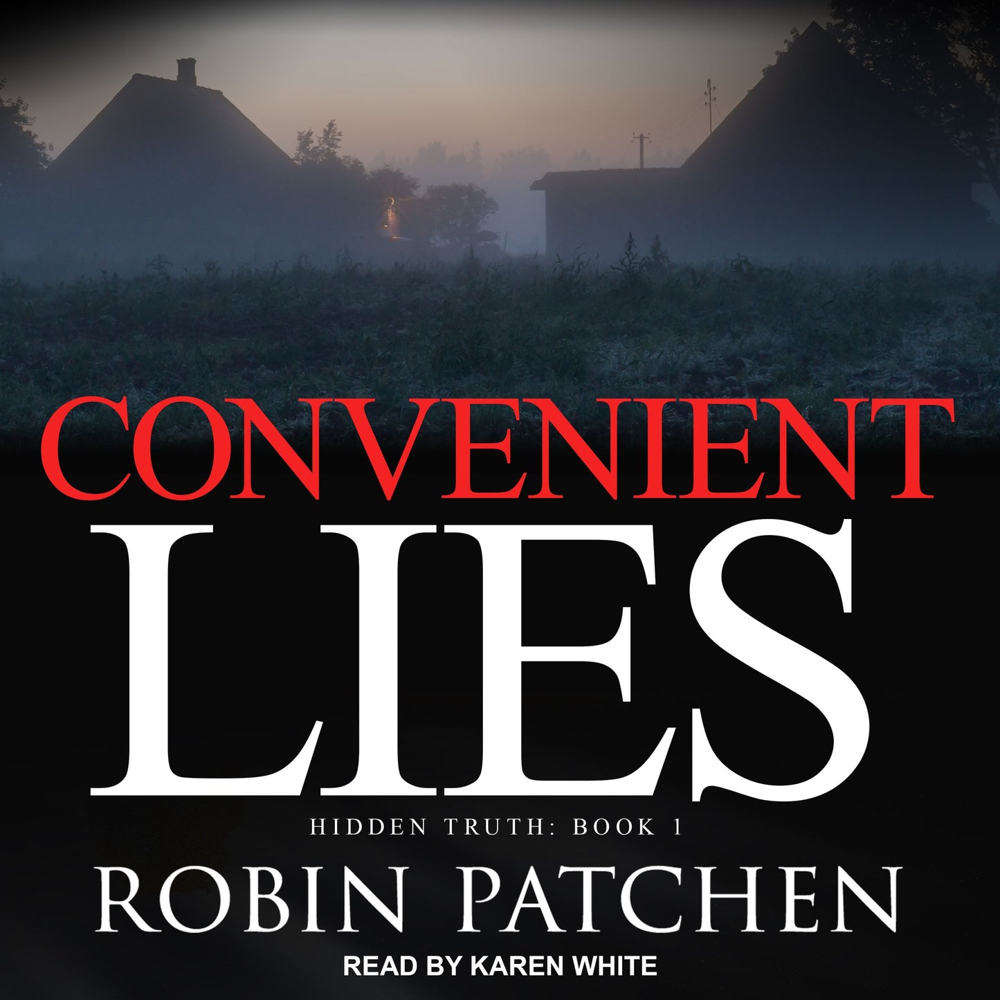 Convenient Lies: Hidden Truth, Book 1