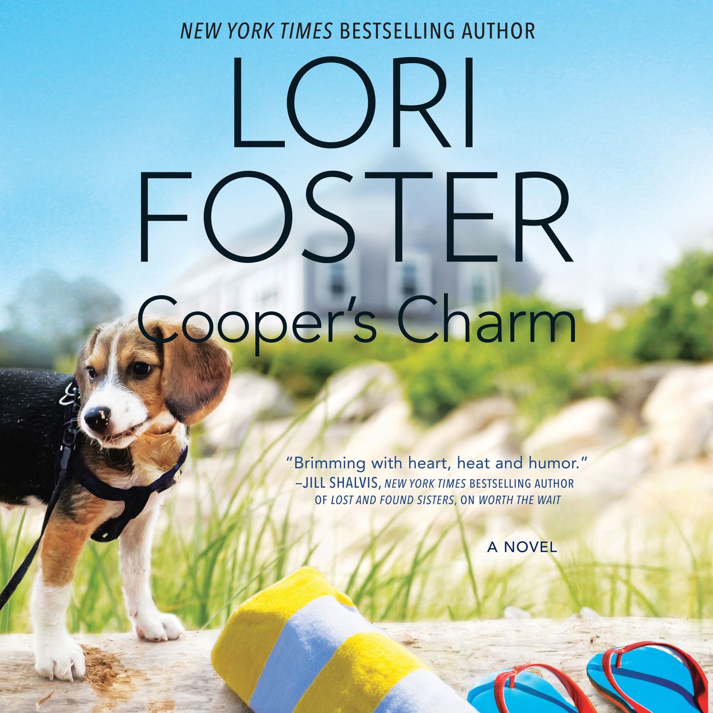 Cooper's Charm: A Novel