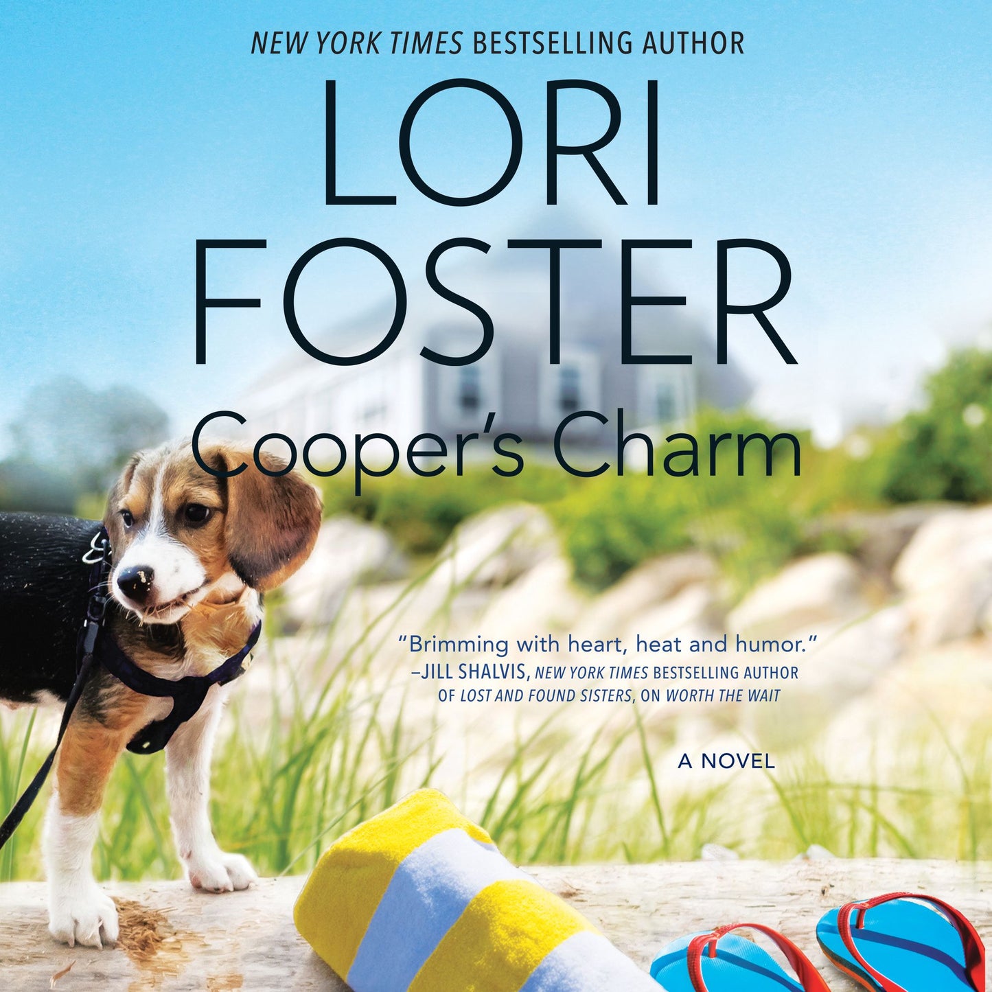 Cooper's Charm: A Novel
