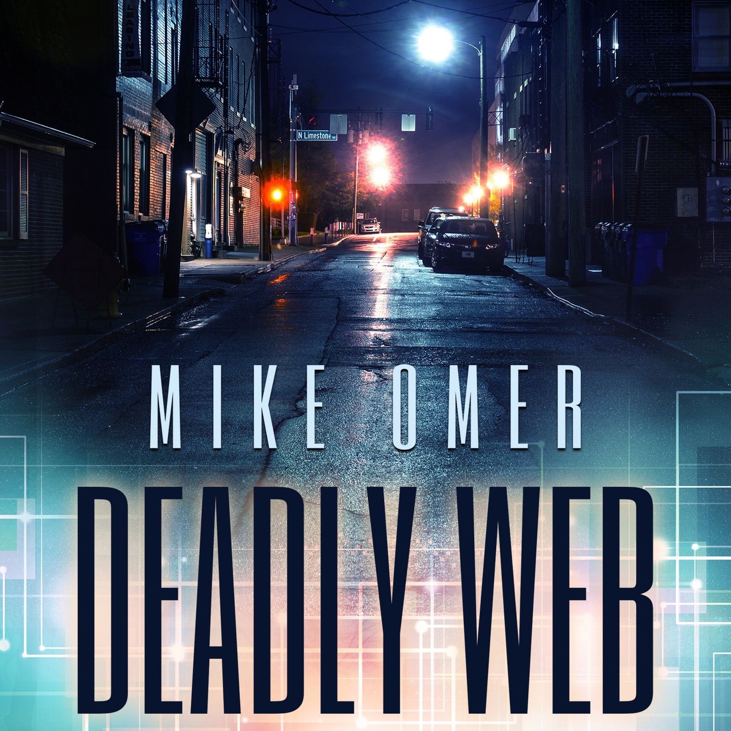 Deadly Web: A Police Procedural Novel