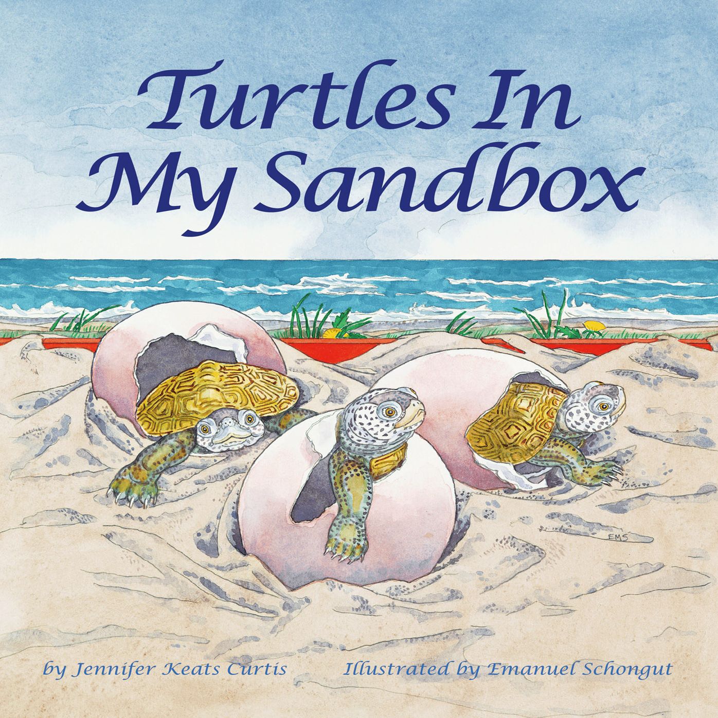 Turtles In My Sandbox
