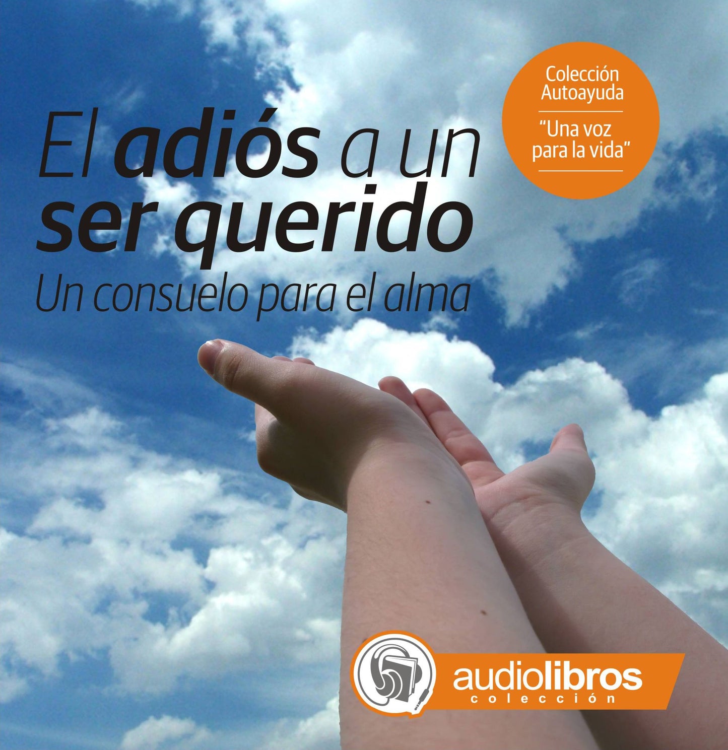 Adiós a un ser querido, El: Un consuelo para el alma
