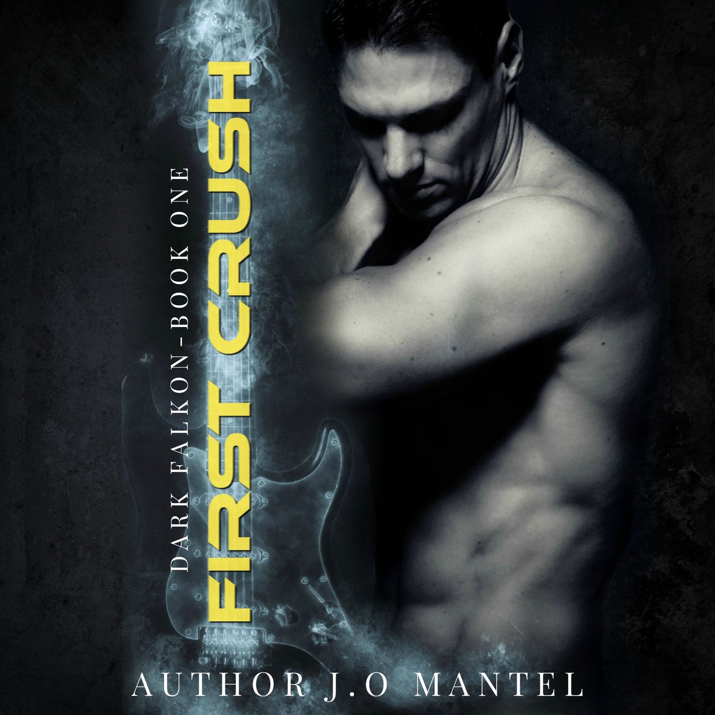 First Crush: Dark Falkon - Book 1