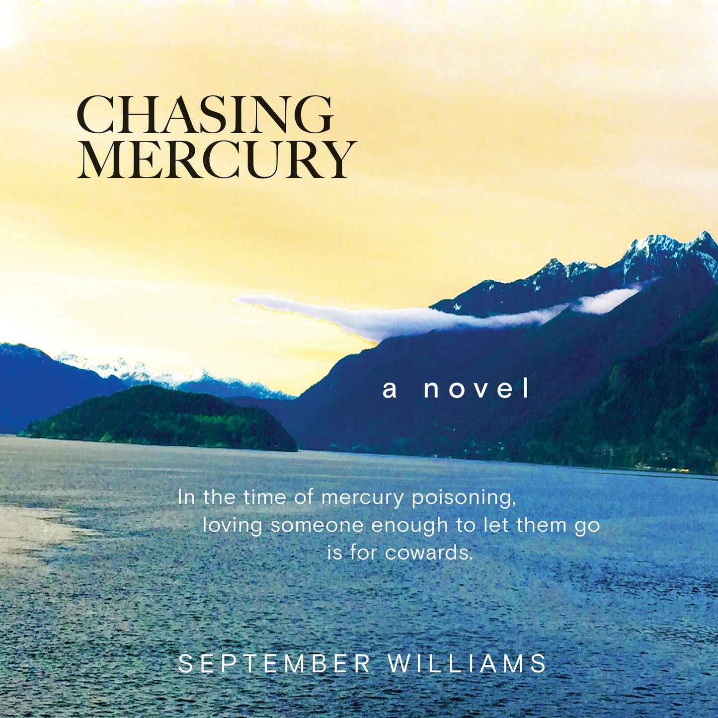 Chasing Mercury: A Novel