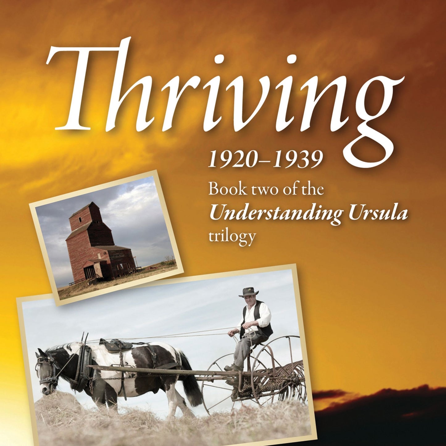 Thriving: 1920-1939: Book Two of the Understanding Ursula Trilogy