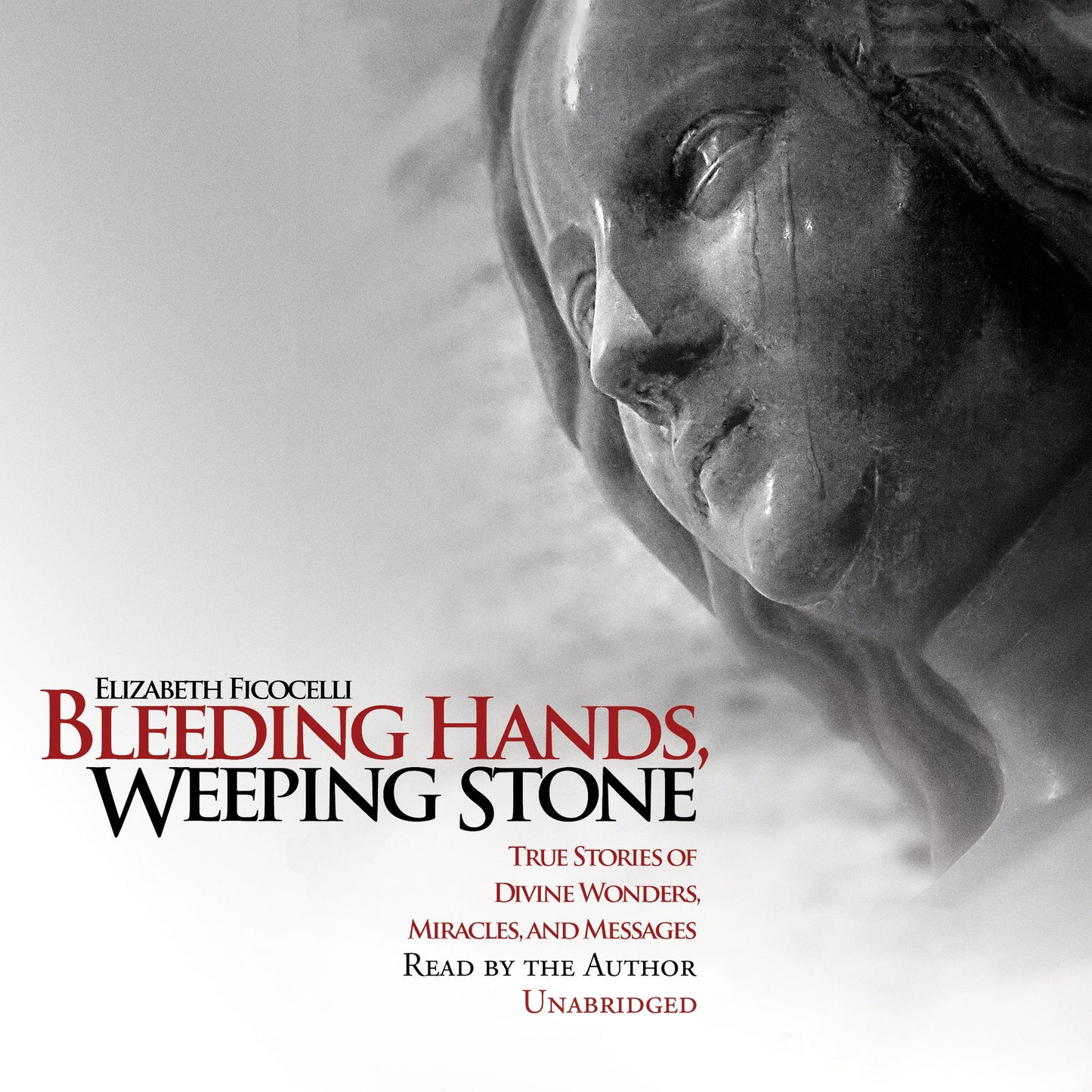 Bleeding Hands, Weeping Stone: True Stories of Divine Wonders, Miracles, and Messages