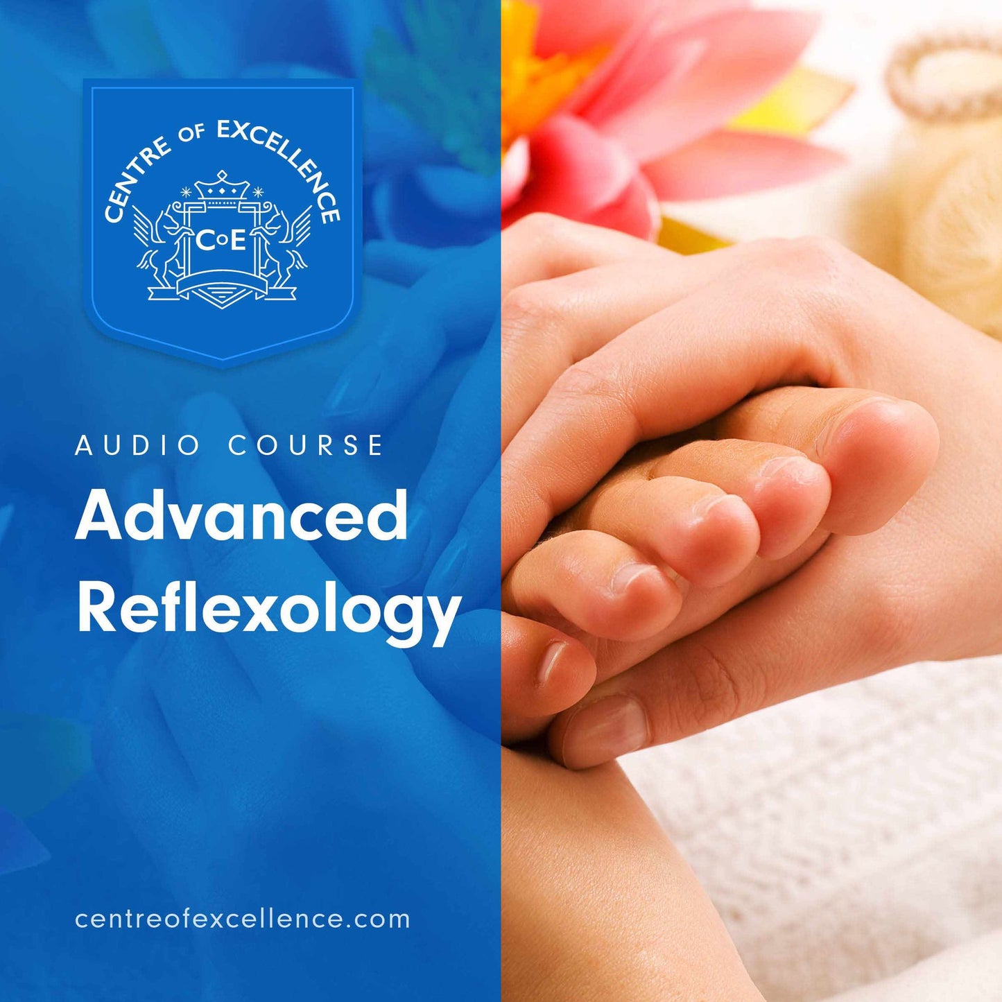 Colour Reflexology: Audio Course