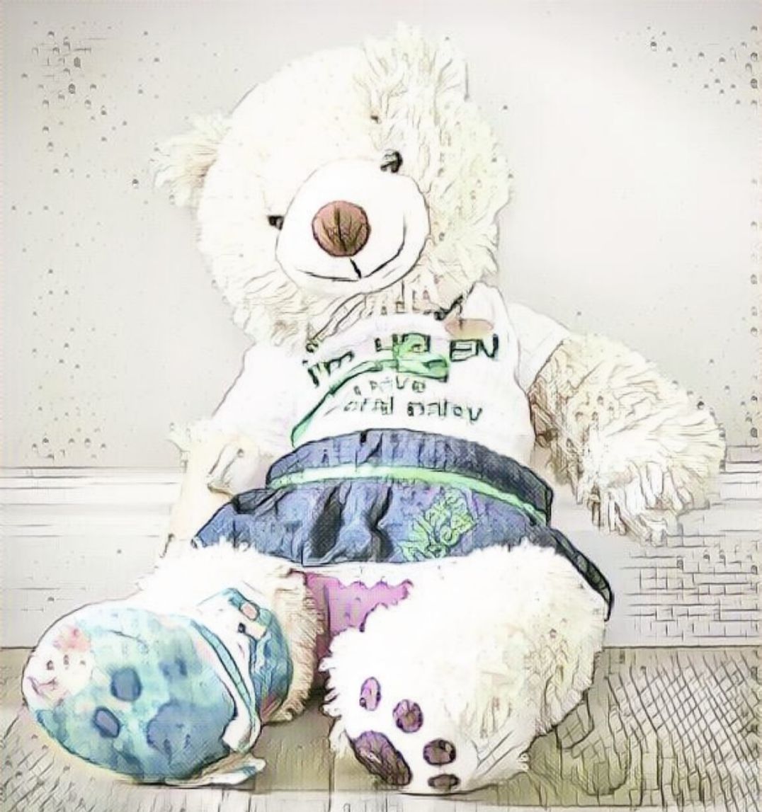 A Bear Named Helen