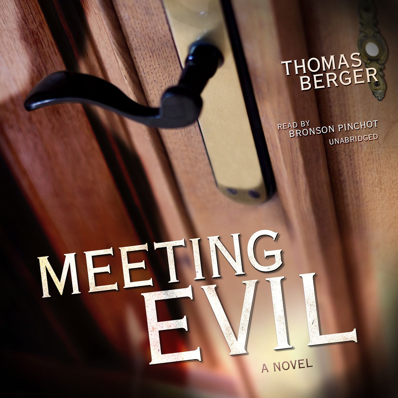 Meeting Evil: A Novel