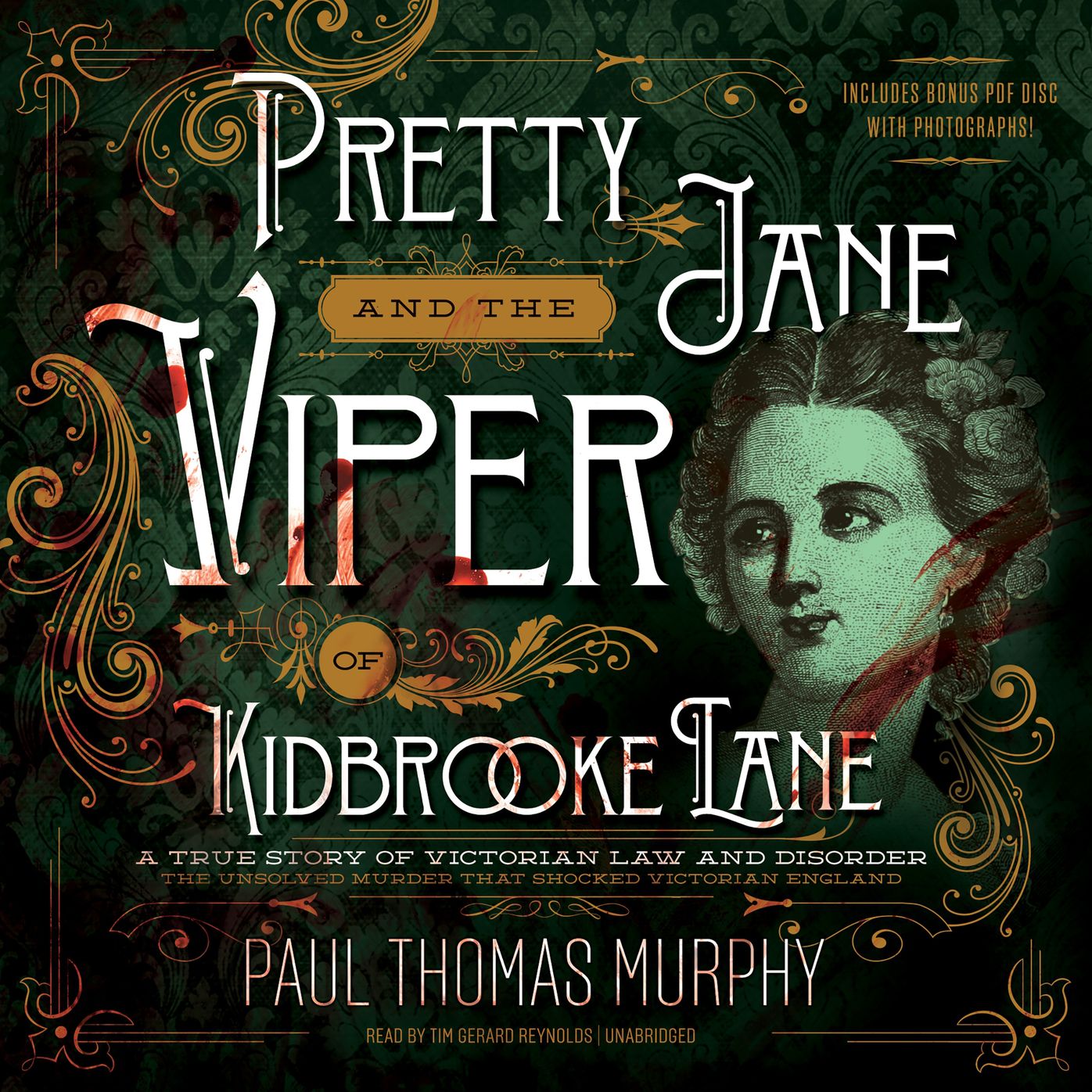 Pretty Jane and the Viper of Kidbrooke Lane: A True Story of Victorian Law and Disorder: the First Unsolved Murder of the Victorian Age