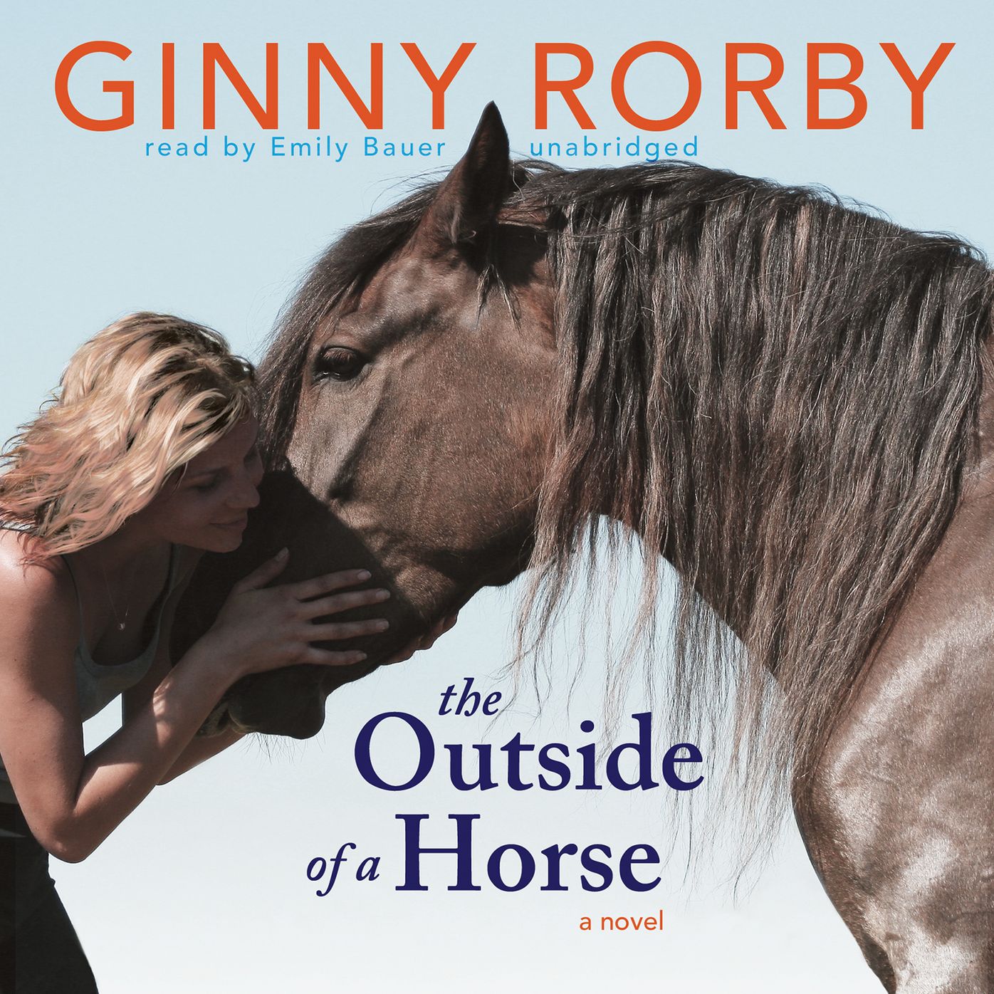 The Outside of a Horse: A Novel