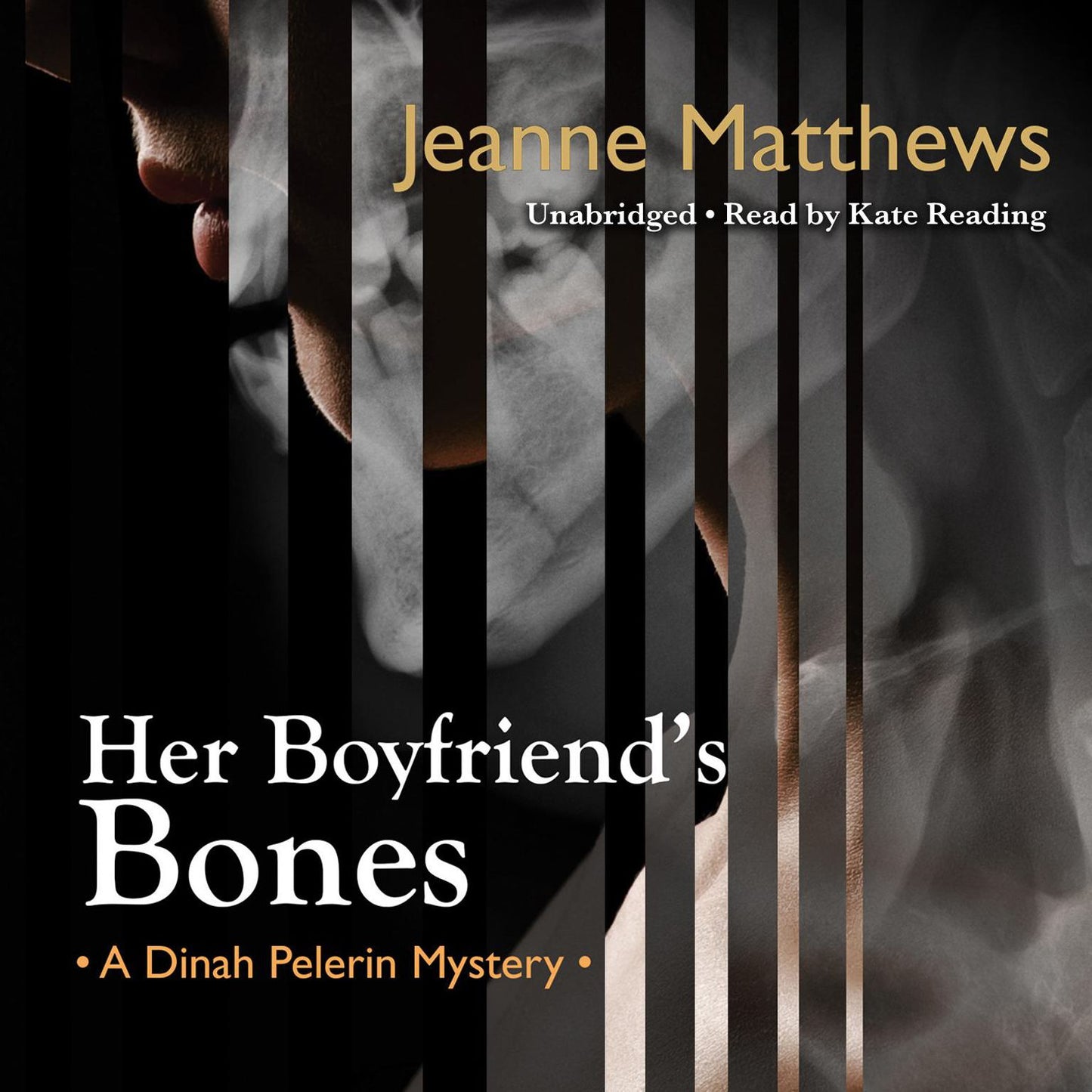 Her Boyfriend's Bones: A Dinah Pelerin Mystery