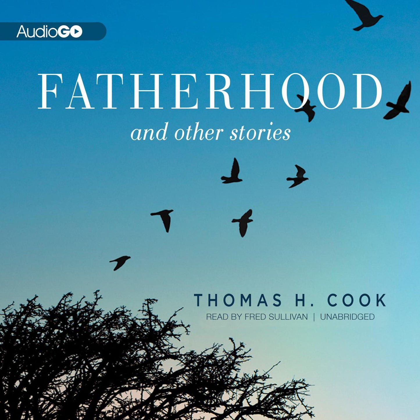 Fatherhood, and Other Stories