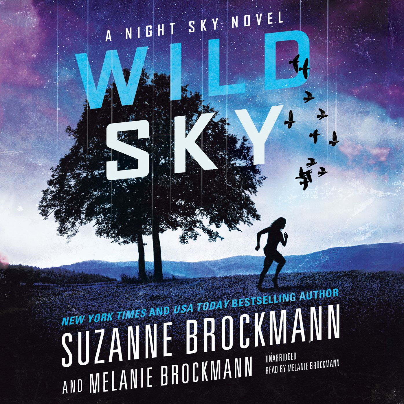 Wild Sky: A Night Sky Novel