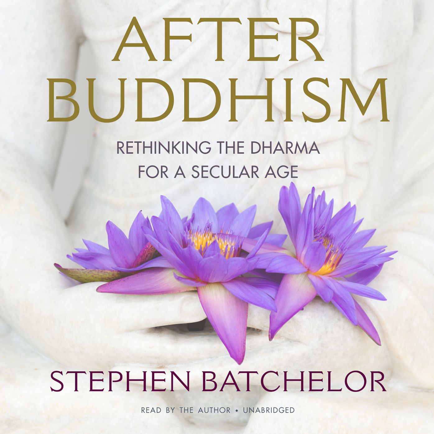 After Buddhism: Rethinking the Dharma from the Ground Up