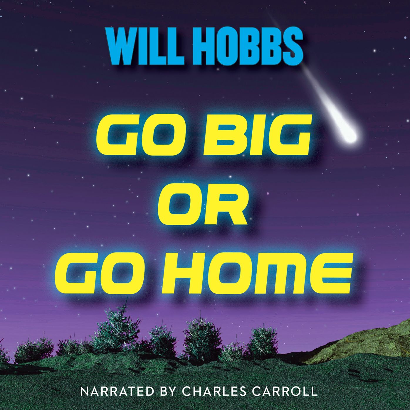Go Big or Go Home: A Novel