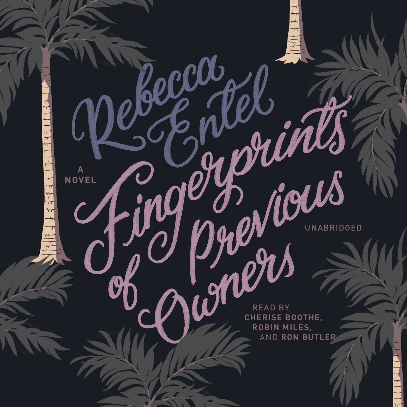 Fingerprints of Previous Owners: A Novel