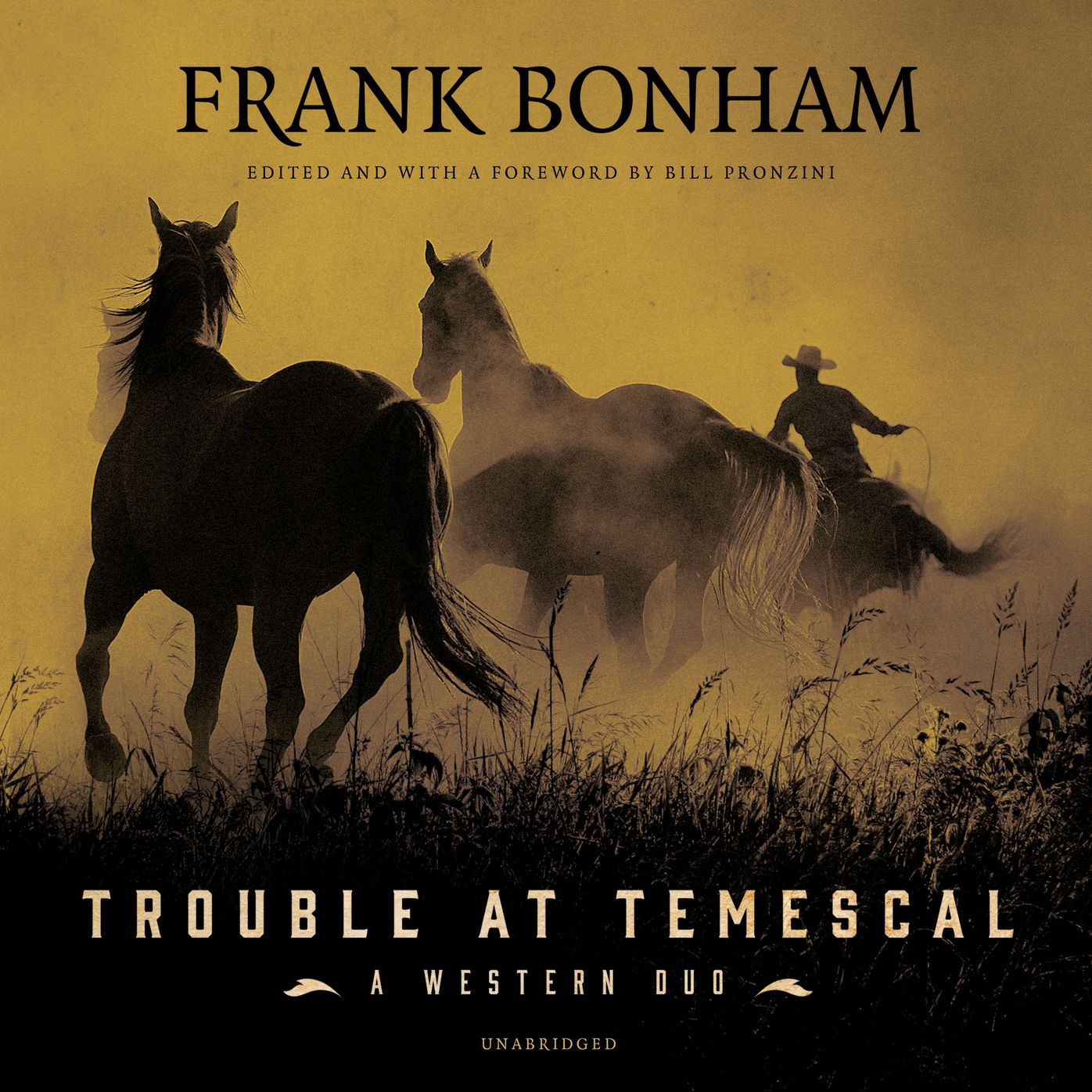 Trouble at Temescal: A Western Duo